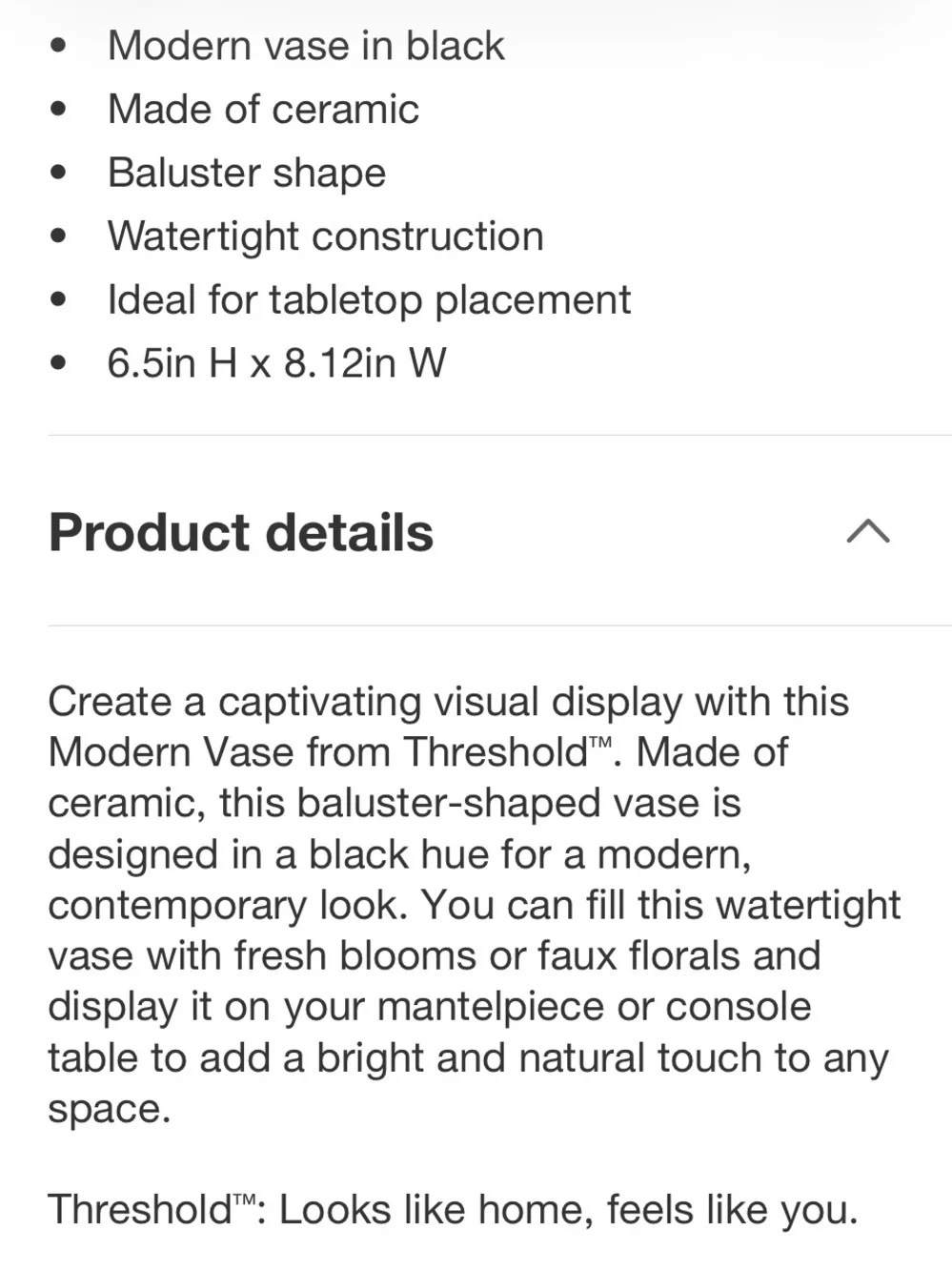 THRESHOLD NWT Small Modern Vase Black
